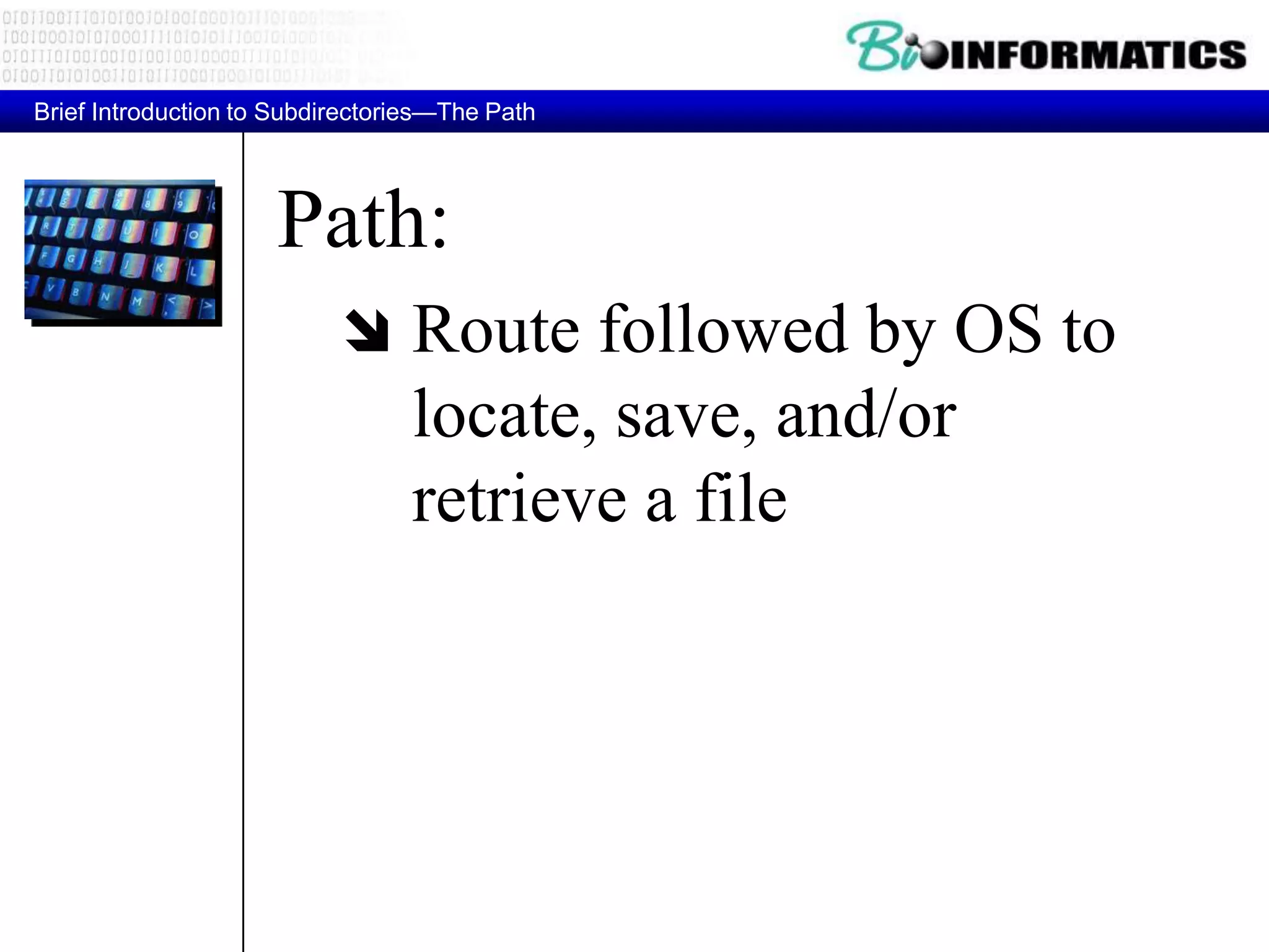 Path:  Route followed by OS to locate, save, and/or retrieve a file Brief Introduction to Subdirectories—The Path 