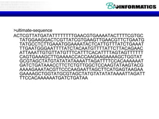 >ultimate-sequence
ACTCGTTATGATATTTTTTTTGAACGTGAAAATACTTTTCGTGC
TATGGAAGGACTCGTTATCGTGAAGTTGAACGTTCTGAATG
TATGCCTCTTGAAATGGAAAATACTCATTGTTTATCTGAAAT
TTGAATGGGAATTTTATCTACAATGTTTTATTCTTACAGAAC
ATTAAATTGTGTTATGTTTCATTTCACATTTTAGTAGTTTTTT
CAGTGAAAGCTTGAAAACCACCAAGAAGAAAAGCTGGTAT
GCGTAGCTATGTATATATAAAATTAGATTTTCCACAAAAAAT
GATCTGATAAACCTTCTCTGTTGGCTCCAAGTATAAGTACG
AAAAGAAATACGTTCCCAAGAATTAGCTTCATGAGTAAGAA
GAAAAGCTGGTATGCGTAGCTATGTATATATAAAATTAGATT
TTCCACAAAAAATGATCTGATAA

 