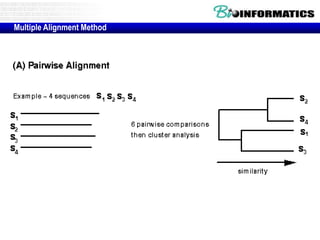 Multiple Alignment Method 
 