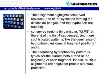 An example of Multiple Alignment … immunoglobulin 
• Their alignment highlights conserved 
residues (one of the cysteines forming the 
disulphide bridges, and the tryptophan are 
notable) 
• conserved regions (in particular, "Q.PG" at 
the end of the first 4 sequences), and more 
sophisticated patterns, like the dominance of 
hydrophobic residues at fragment positions 1 
and 3. 
• The alternating hydrophobicity pattern is 
typical for the surface beta-strand at the 
beginning of each fragment. Indeed, multiple 
alignments are helpful for protein structure 
prediction. 
 