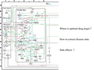 Where is optimal drug target ?

“Optimal” drug target
Predict side effect
How to correct disease state

Side effects ?

 