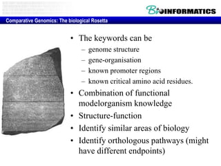 Comparative Genomics: The biological Rosetta

• The keywords can be
–
–
–
–

genome structure
gene-organisation
known promoter regions
known critical amino acid residues.

• Combination of functional
modelorganism knowledge
• Structure-function
• Identify similar areas of biology
• Identify orthologous pathways (might
have different endpoints)

 