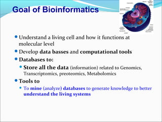 Bioinformatics workshop presentation | PPT