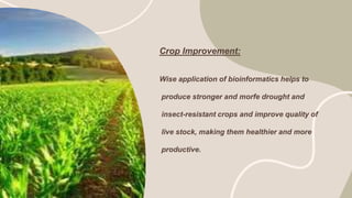 Crop Improvement:
Wise application of bioinformatics helps to
produce stronger and morfe drought and
insect-resistant crops and improve quality of
live stock, making them healthier and more
productive.
 
