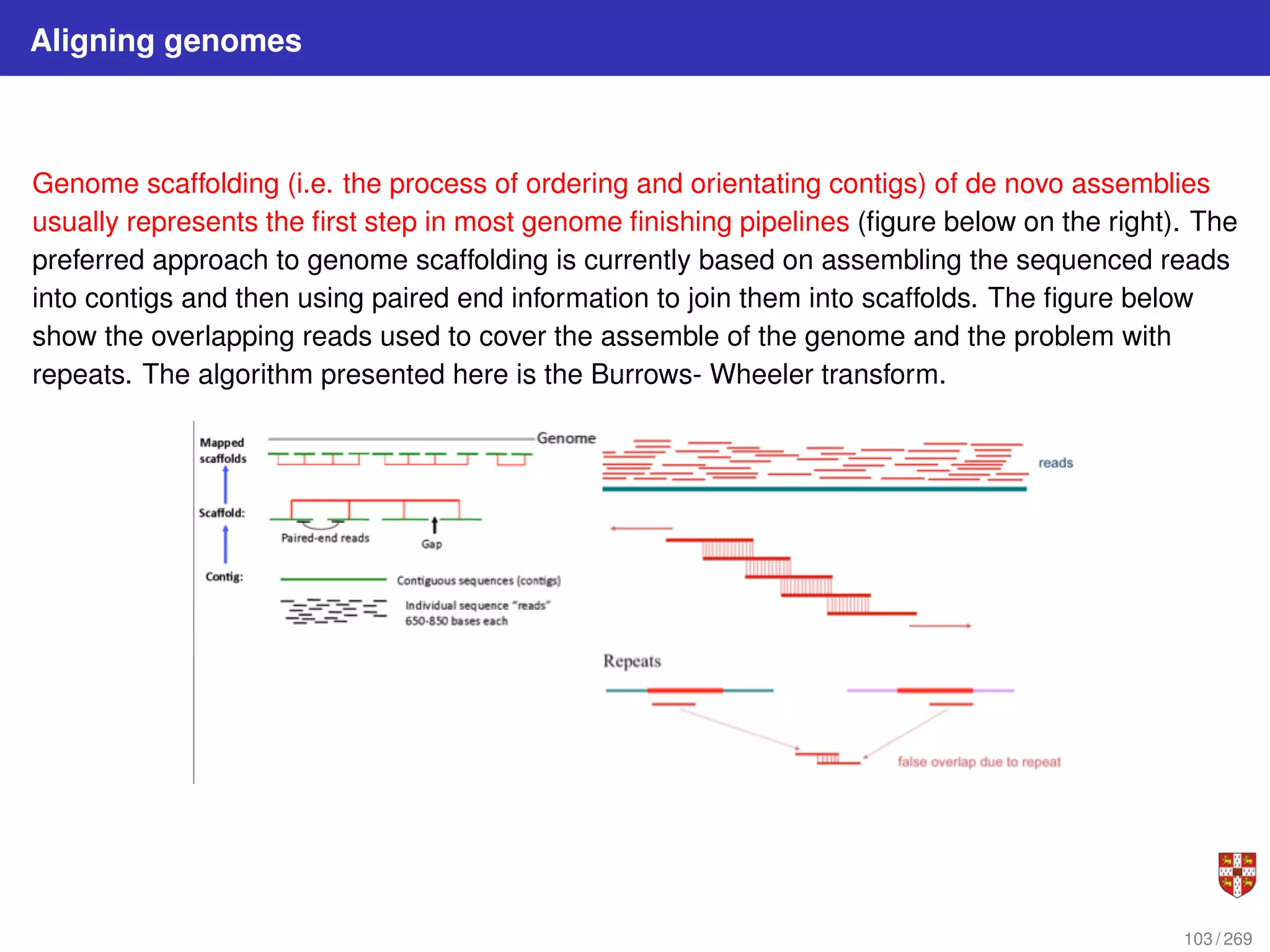 Aligning genomes
Genome scaffolding (i.e. the process of ordering and orientating contigs) of de novo assemblies
usually represents the first step in most genome finishing pipelines (figure below on the right). The
preferred approach to genome scaffolding is currently based on assembling the sequenced reads
into contigs and then using paired end information to join them into scaffolds. The figure below
show the overlapping reads used to cover the assemble of the genome and the problem with
repeats. The algorithm presented here is the Burrows- Wheeler transform.
103 / 269
 