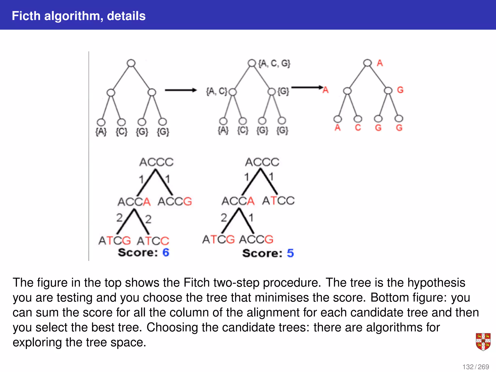 Ficth algorithm, details
The figure in the top shows the Fitch two-step procedure. The tree is the hypothesis
you are testing and you choose the tree that minimises the score. Bottom figure: you
can sum the score for all the column of the alignment for each candidate tree and then
you select the best tree. Choosing the candidate trees: there are algorithms for
exploring the tree space.
132 / 269
 