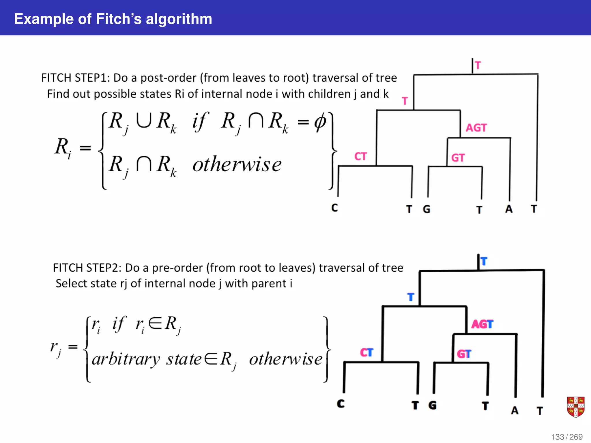 Example of Fitch’s algorithm
133 / 269
 