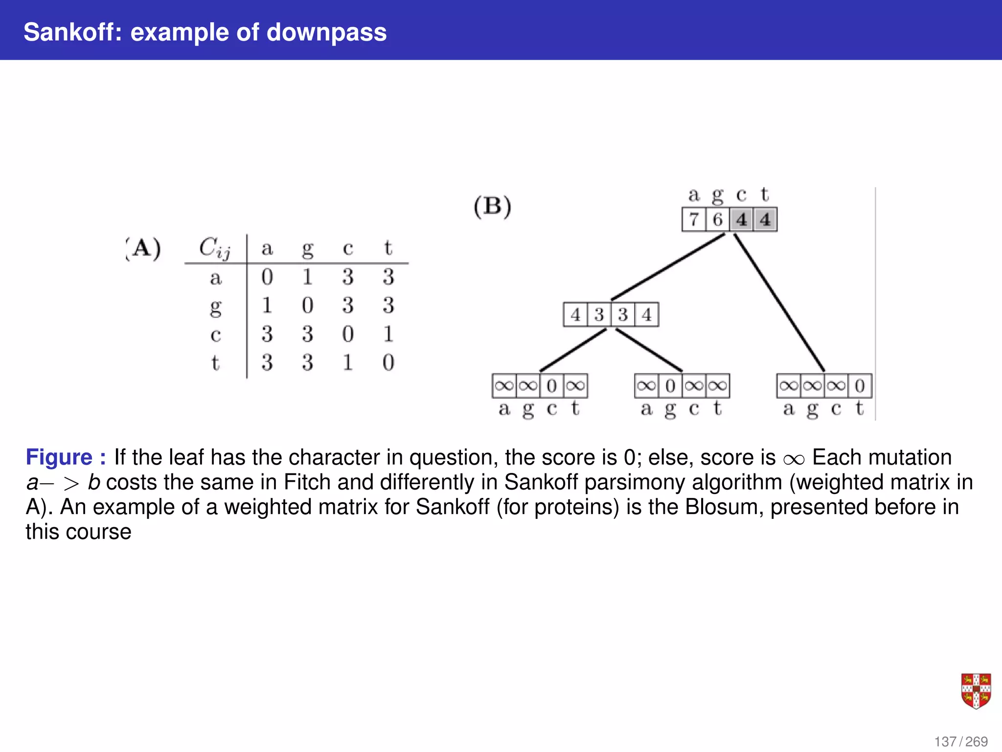 Sankoff: example of downpass
Figure : If the leaf has the character in question, the score is 0; else, score is ∞ Each mutation
a− > b costs the same in Fitch and differently in Sankoff parsimony algorithm (weighted matrix in
A). An example of a weighted matrix for Sankoff (for proteins) is the Blosum, presented before in
this course
137 / 269
 
