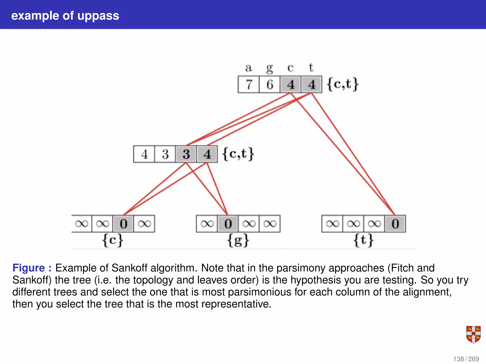 example of uppass
Figure : Example of Sankoff algorithm. Note that in the parsimony approaches (Fitch and
Sankoff) the tree (i.e. the topology and leaves order) is the hypothesis you are testing. So you try
different trees and select the one that is most parsimonious for each column of the alignment,
then you select the tree that is the most representative.
138 / 269
 