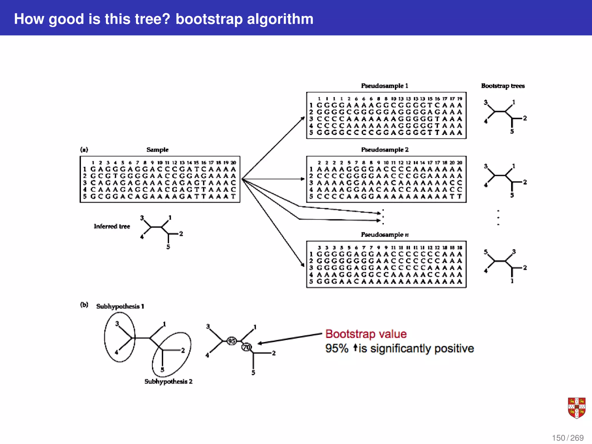 How good is this tree? bootstrap algorithm
150 / 269
 