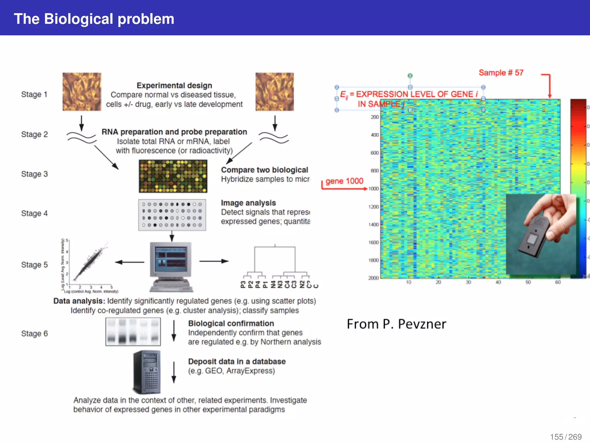 The Biological problem
155 / 269
 