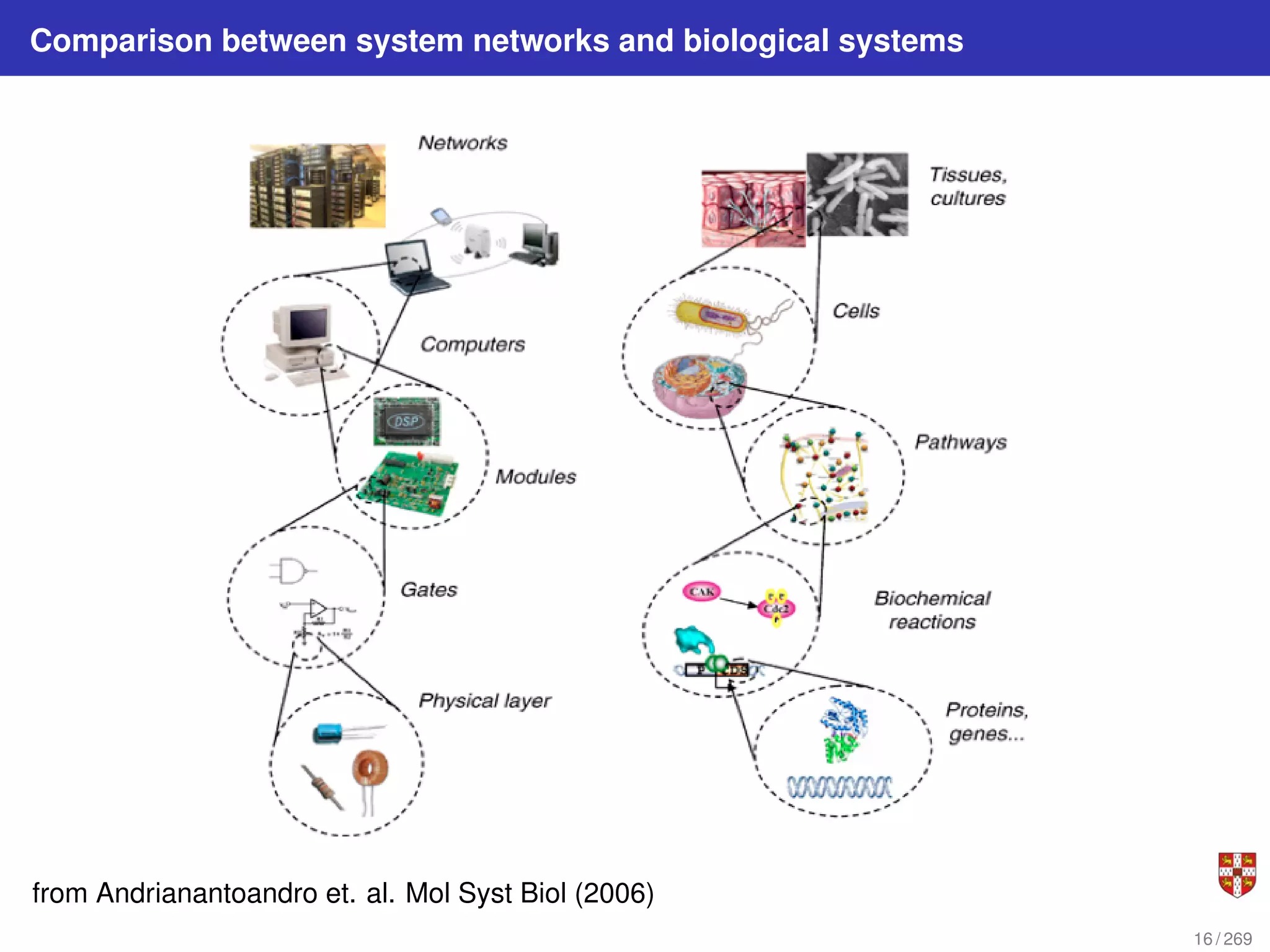 Comparison between system networks and biological systems
from Andrianantoandro et. al. Mol Syst Biol (2006)
16 / 269
 