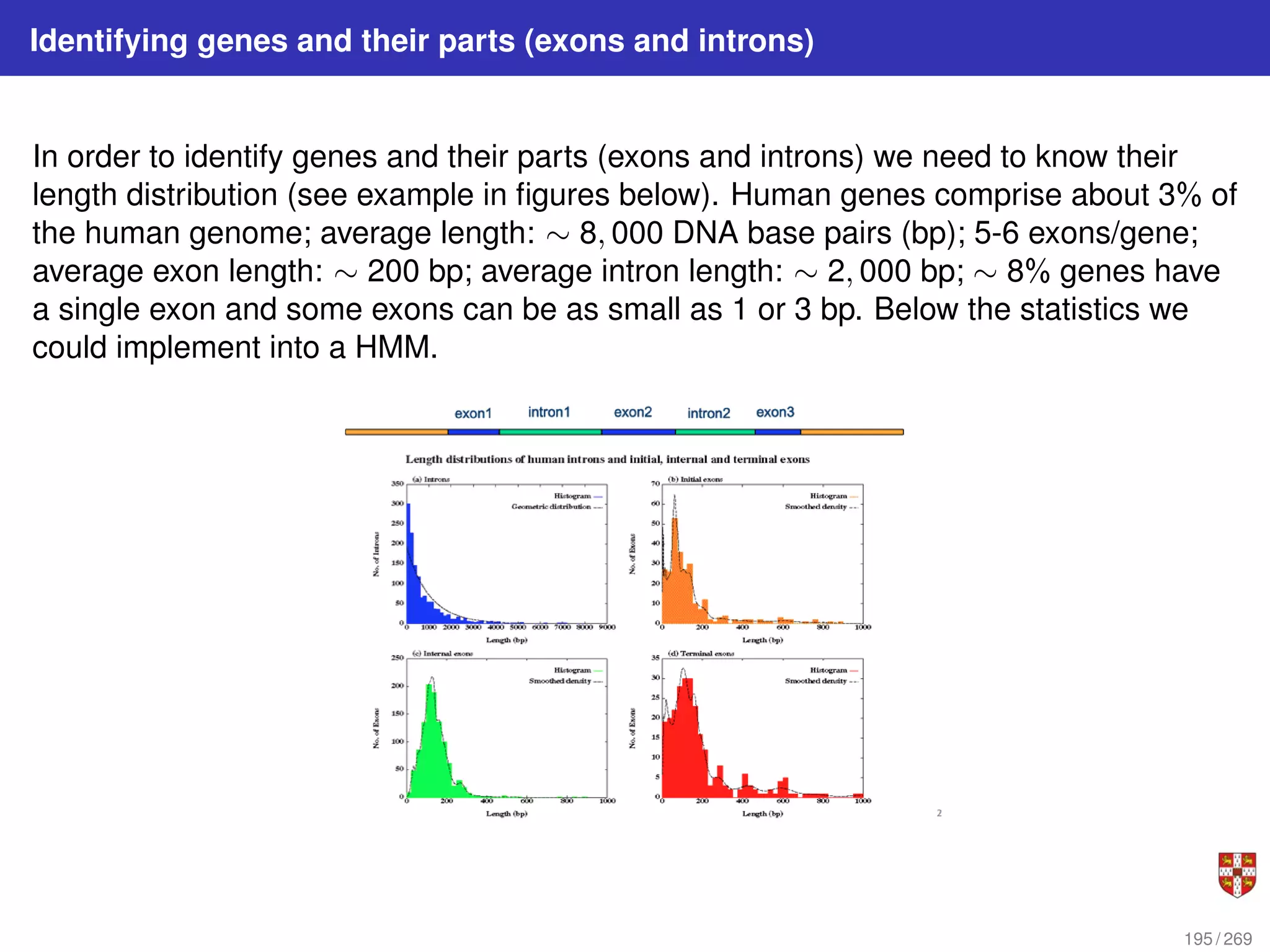 Identifying genes and their parts (exons and introns)
In order to identify genes and their parts (exons and introns) we need to know their
length distribution (see example in figures below). Human genes comprise about 3% of
the human genome; average length: ∼ 8, 000 DNA base pairs (bp); 5-6 exons/gene;
average exon length: ∼ 200 bp; average intron length: ∼ 2, 000 bp; ∼ 8% genes have
a single exon and some exons can be as small as 1 or 3 bp. Below the statistics we
could implement into a HMM.
195 / 269
 