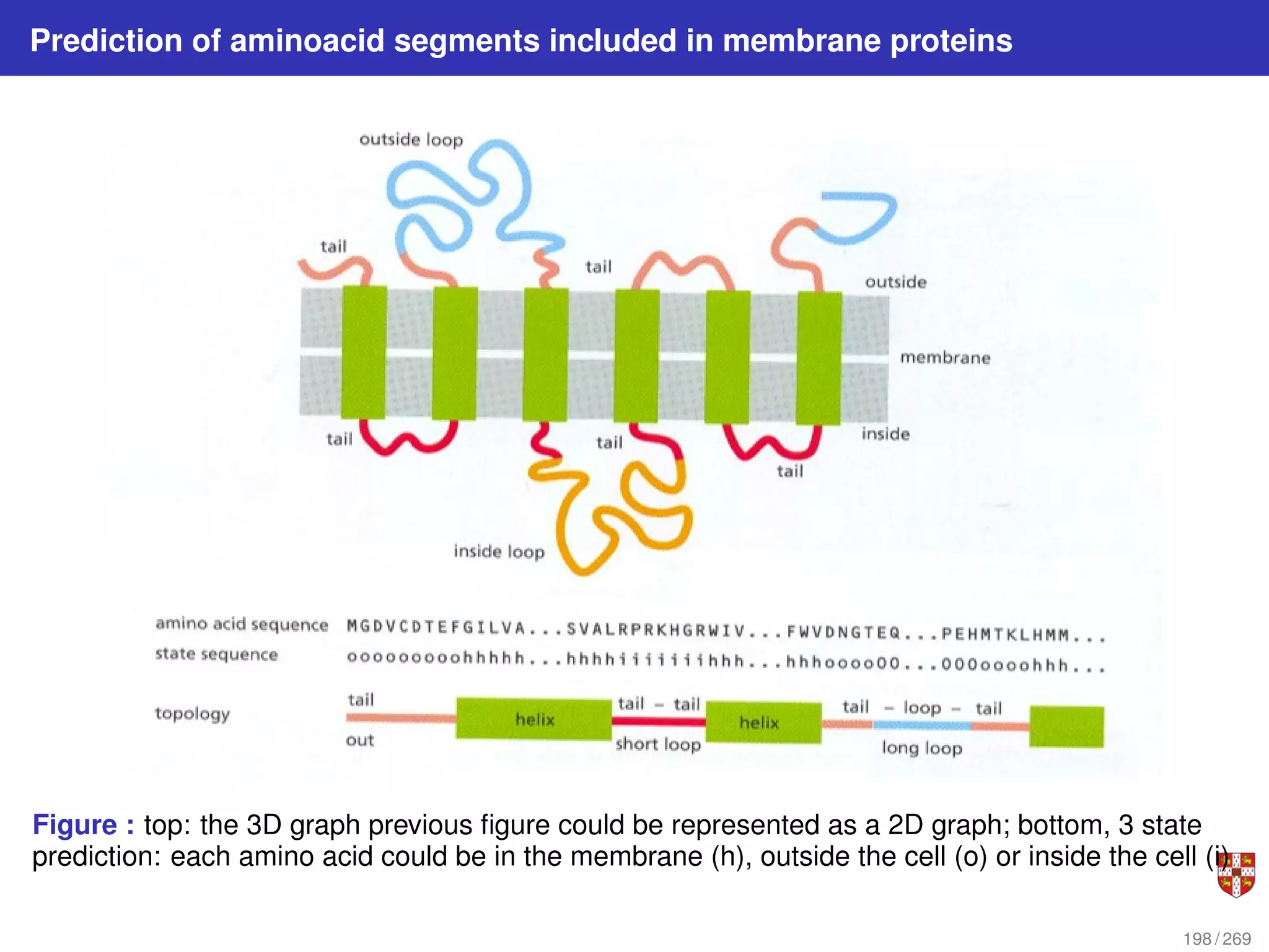 Prediction of aminoacid segments included in membrane proteins
Figure : top: the 3D graph previous figure could be represented as a 2D graph; bottom, 3 state
prediction: each amino acid could be in the membrane (h), outside the cell (o) or inside the cell (i)
198 / 269
 