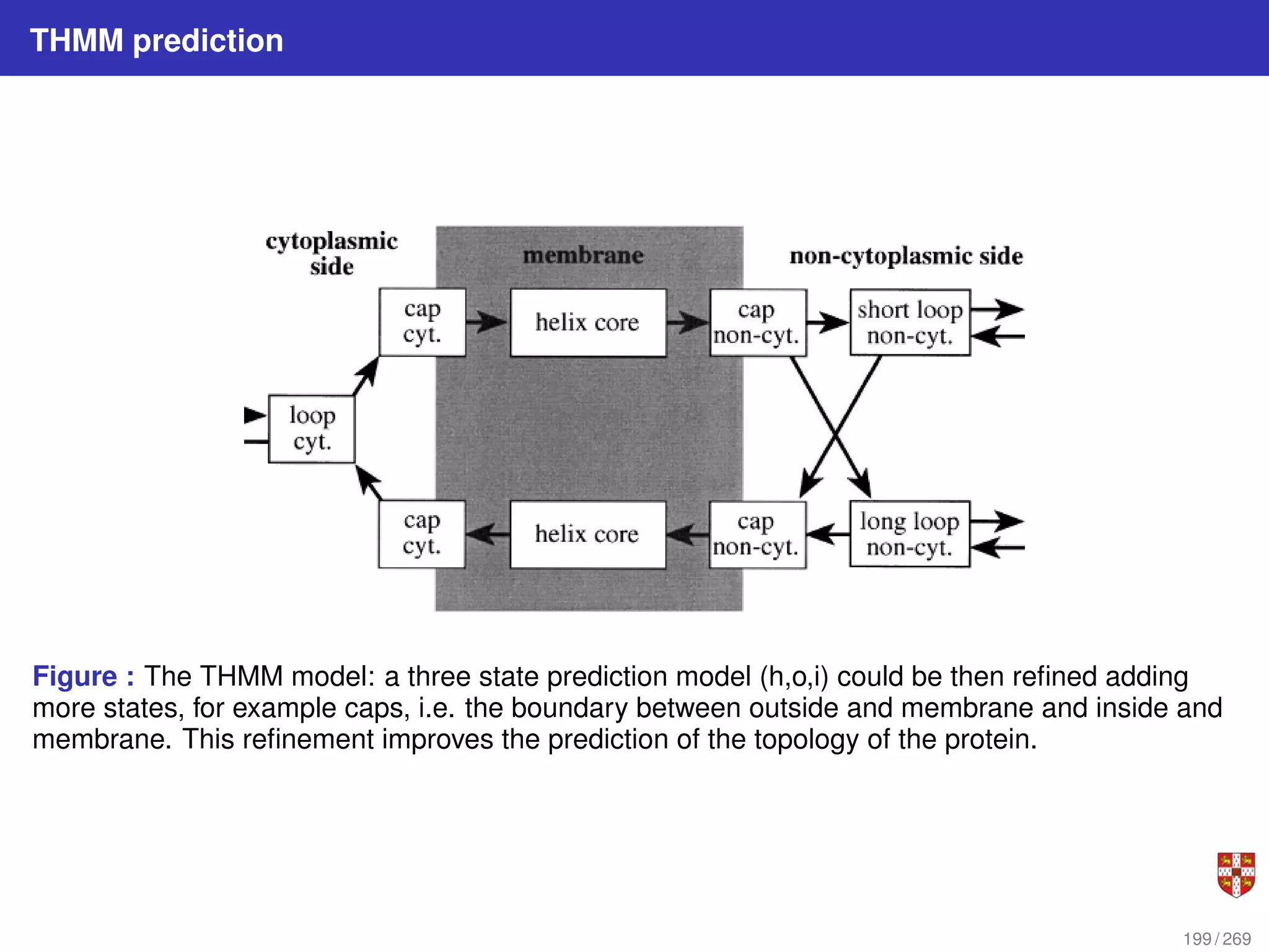 THMM prediction
Figure : The THMM model: a three state prediction model (h,o,i) could be then refined adding
more states, for example caps, i.e. the boundary between outside and membrane and inside and
membrane. This refinement improves the prediction of the topology of the protein.
199 / 269
 