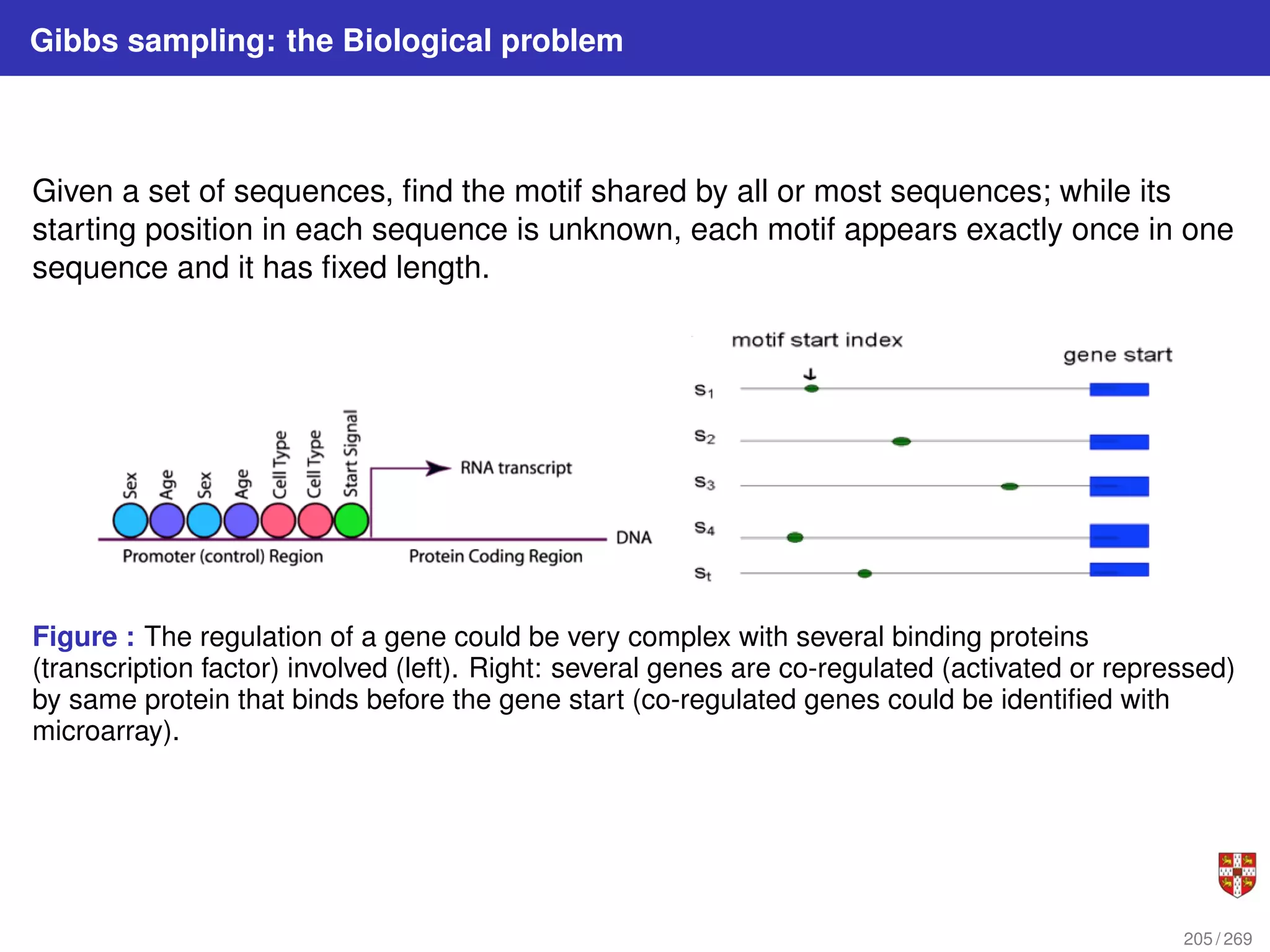 Gibbs sampling: the Biological problem
Given a set of sequences, find the motif shared by all or most sequences; while its
starting position in each sequence is unknown, each motif appears exactly once in one
sequence and it has fixed length.
Figure : The regulation of a gene could be very complex with several binding proteins
(transcription factor) involved (left). Right: several genes are co-regulated (activated or repressed)
by same protein that binds before the gene start (co-regulated genes could be identified with
microarray).
205 / 269
 