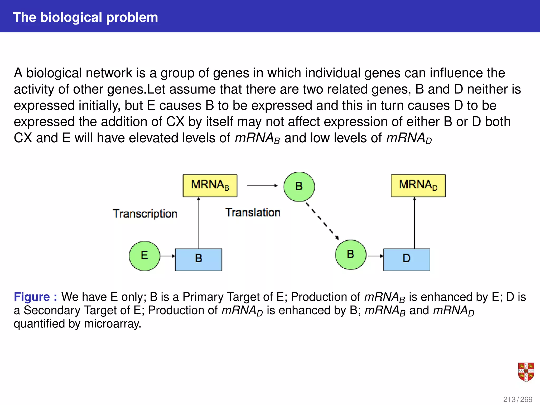 The biological problem
A biological network is a group of genes in which individual genes can influence the
activity of other genes.Let assume that there are two related genes, B and D neither is
expressed initially, but E causes B to be expressed and this in turn causes D to be
expressed the addition of CX by itself may not affect expression of either B or D both
CX and E will have elevated levels of mRNAB and low levels of mRNAD
Figure : We have E only; B is a Primary Target of E; Production of mRNAB is enhanced by E; D is
a Secondary Target of E; Production of mRNAD is enhanced by B; mRNAB and mRNAD
quantified by microarray.
213 / 269
 