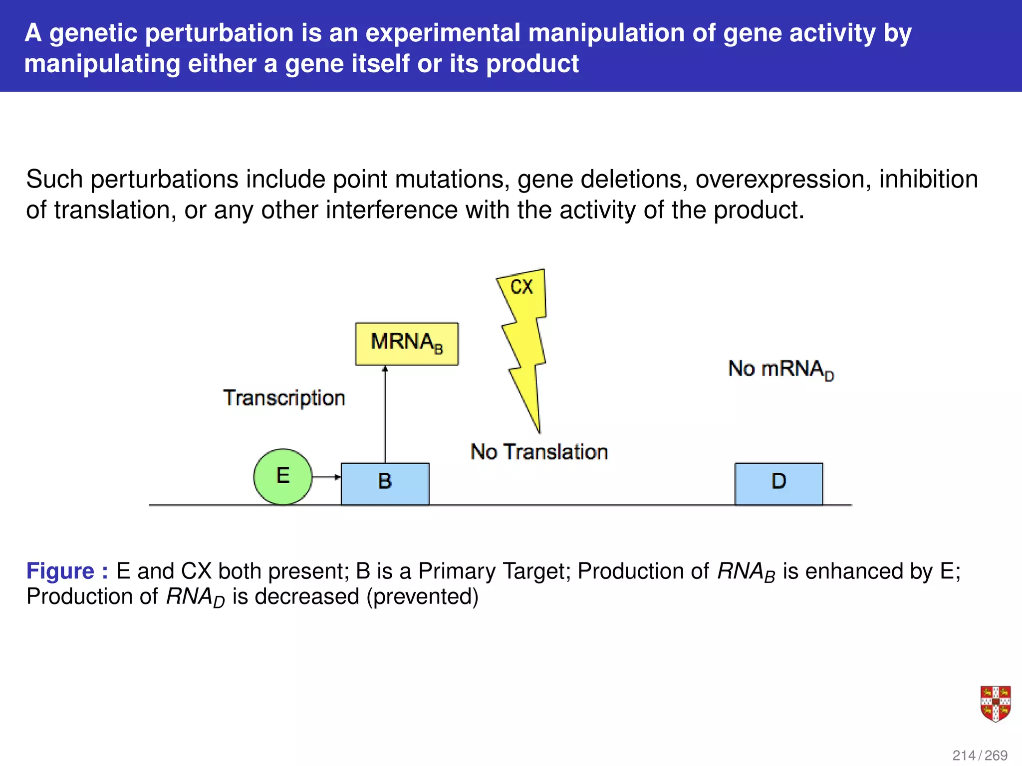 A genetic perturbation is an experimental manipulation of gene activity by
manipulating either a gene itself or its product
Such perturbations include point mutations, gene deletions, overexpression, inhibition
of translation, or any other interference with the activity of the product.
Figure : E and CX both present; B is a Primary Target; Production of RNAB is enhanced by E;
Production of RNAD is decreased (prevented)
214 / 269
 