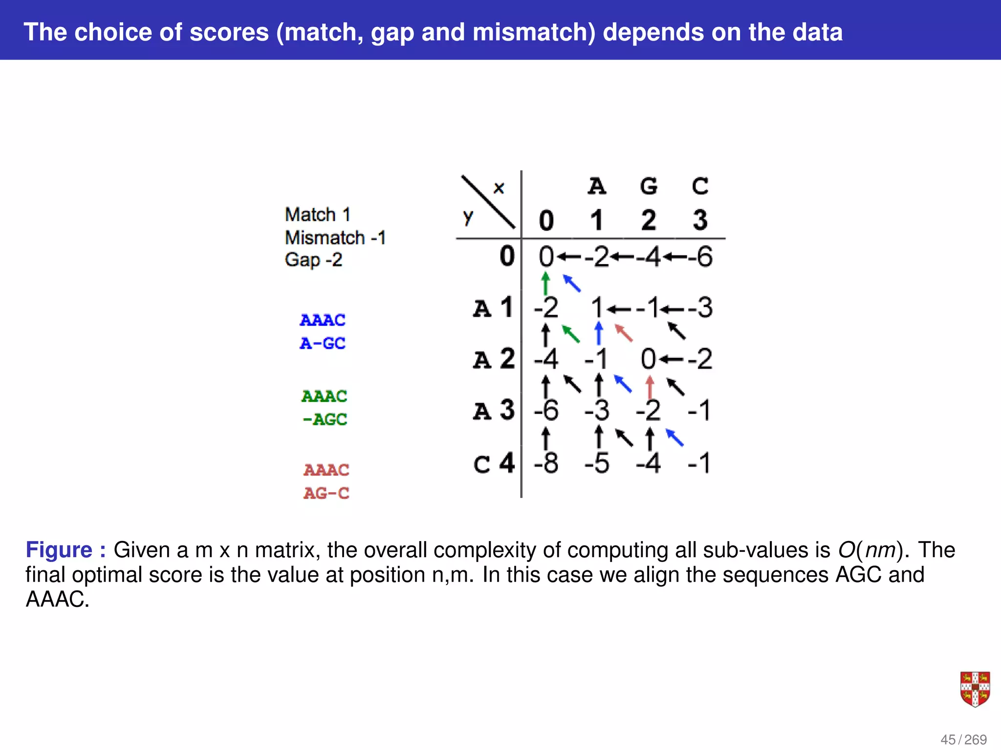 The choice of scores (match, gap and mismatch) depends on the data
Figure : Given a m x n matrix, the overall complexity of computing all sub-values is O(nm). The
final optimal score is the value at position n,m. In this case we align the sequences AGC and
AAAC.
45 / 269
 