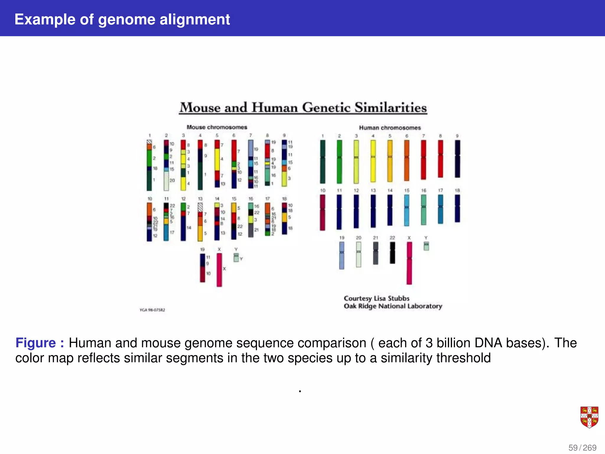 Example of genome alignment
Figure : Human and mouse genome sequence comparison ( each of 3 billion DNA bases). The
color map reflects similar segments in the two species up to a similarity threshold
.
59 / 269
 
