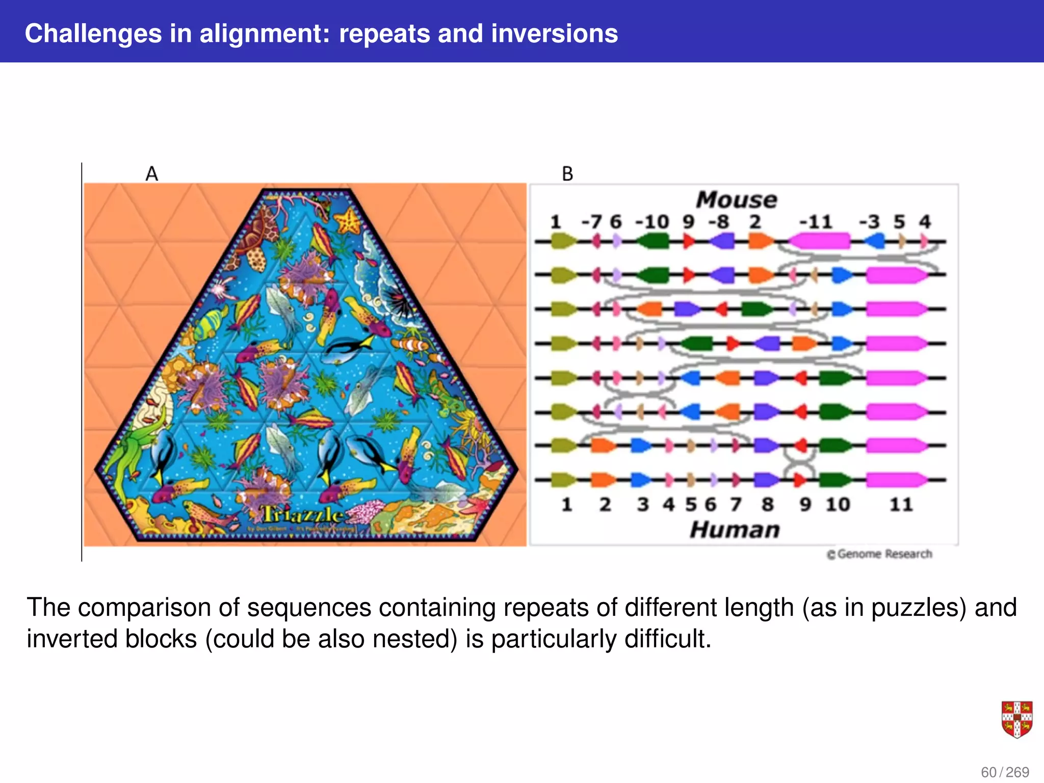 Challenges in alignment: repeats and inversions
The comparison of sequences containing repeats of different length (as in puzzles) and
inverted blocks (could be also nested) is particularly difficult.
60 / 269
 