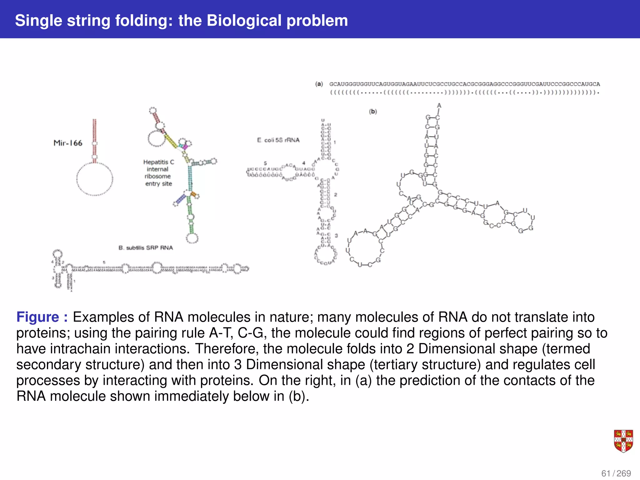 Single string folding: the Biological problem
Figure : Examples of RNA molecules in nature; many molecules of RNA do not translate into
proteins; using the pairing rule A-T, C-G, the molecule could find regions of perfect pairing so to
have intrachain interactions. Therefore, the molecule folds into 2 Dimensional shape (termed
secondary structure) and then into 3 Dimensional shape (tertiary structure) and regulates cell
processes by interacting with proteins. On the right, in (a) the prediction of the contacts of the
RNA molecule shown immediately below in (b).
61 / 269
 