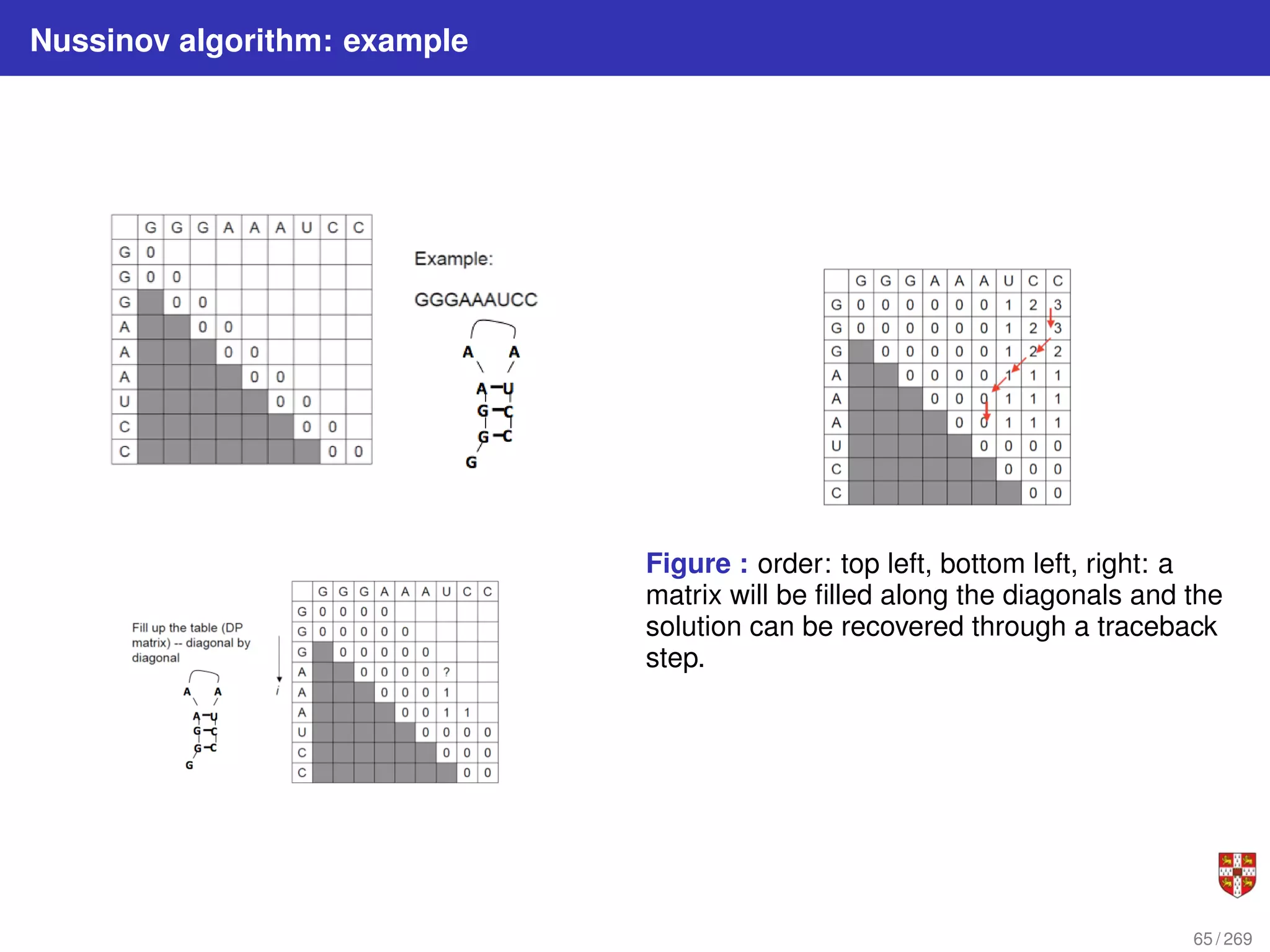 Nussinov algorithm: example
Figure : order: top left, bottom left, right: a
matrix will be filled along the diagonals and the
solution can be recovered through a traceback
step.
65 / 269
 