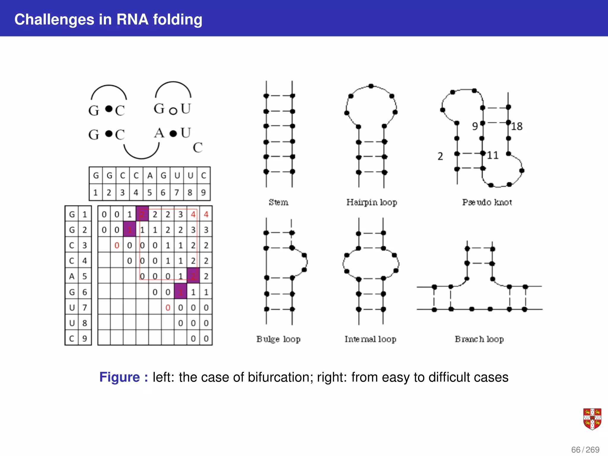 Challenges in RNA folding
Figure : left: the case of bifurcation; right: from easy to difficult cases
66 / 269
 