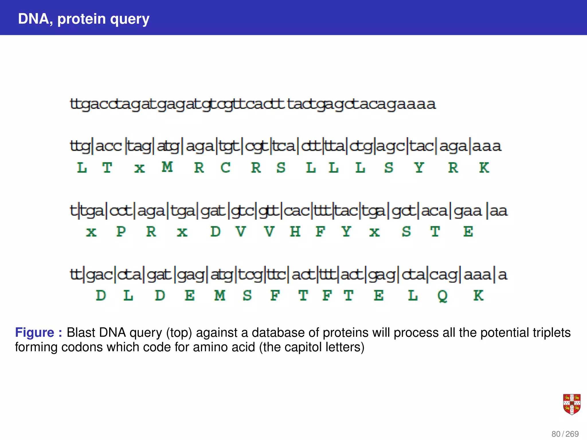 DNA, protein query
Figure : Blast DNA query (top) against a database of proteins will process all the potential triplets
forming codons which code for amino acid (the capitol letters)
80 / 269
 