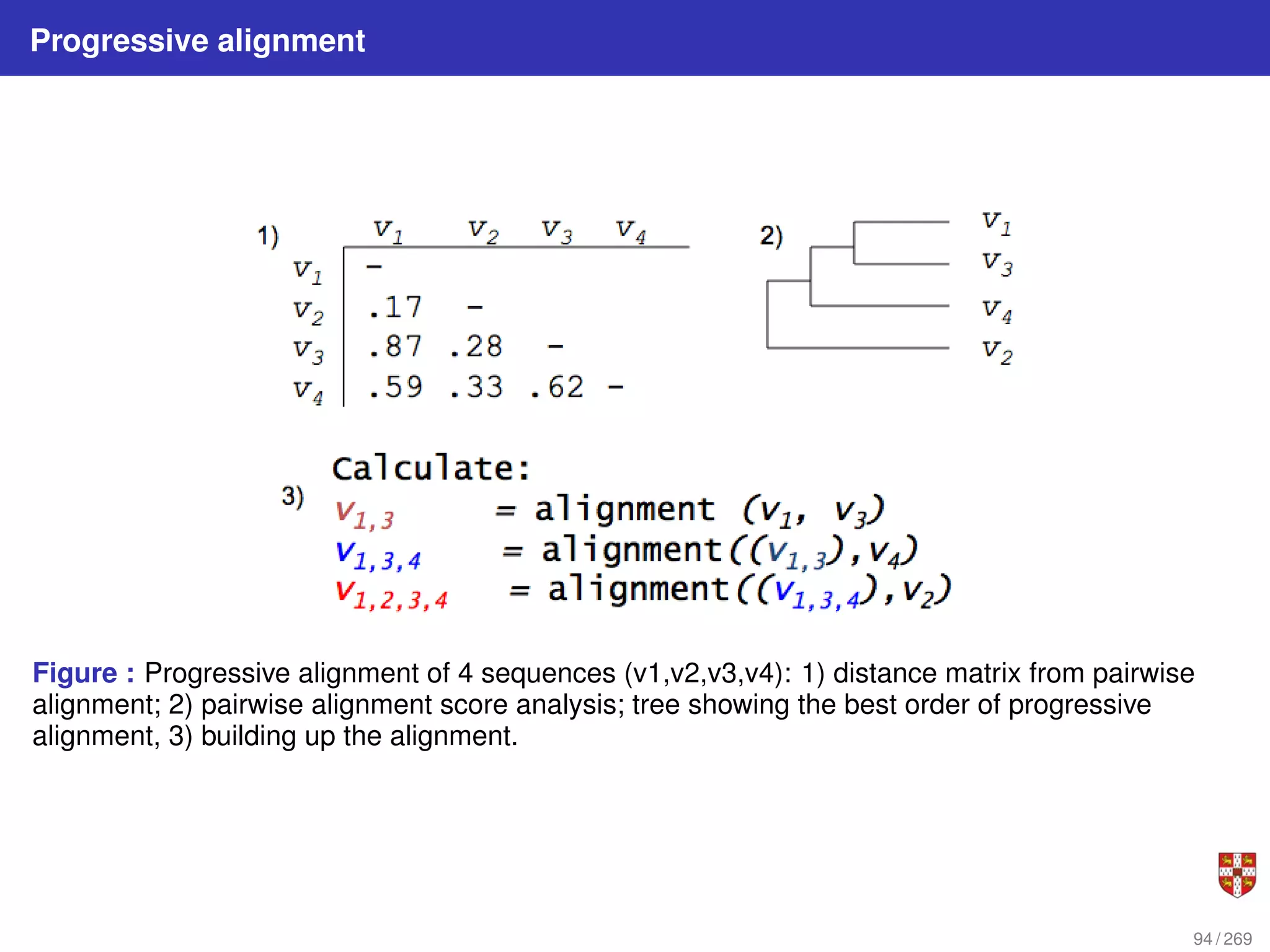 Progressive alignment
Figure : Progressive alignment of 4 sequences (v1,v2,v3,v4): 1) distance matrix from pairwise
alignment; 2) pairwise alignment score analysis; tree showing the best order of progressive
alignment, 3) building up the alignment.
94 / 269
 