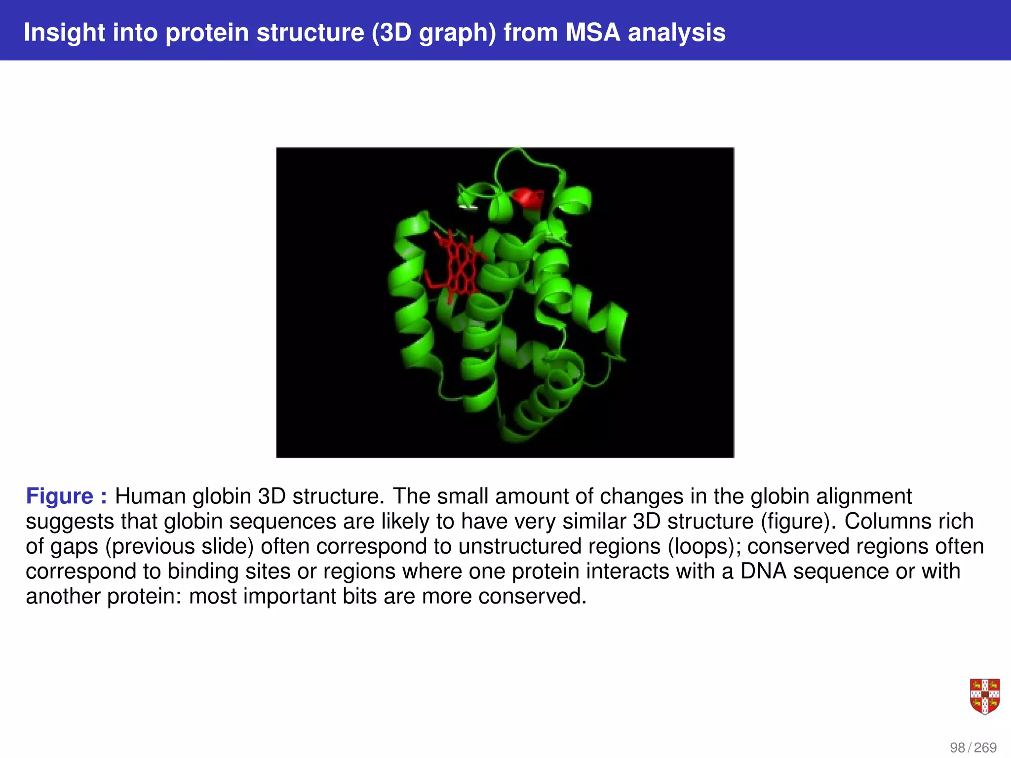 Insight into protein structure (3D graph) from MSA analysis
Figure : Human globin 3D structure. The small amount of changes in the globin alignment
suggests that globin sequences are likely to have very similar 3D structure (figure). Columns rich
of gaps (previous slide) often correspond to unstructured regions (loops); conserved regions often
correspond to binding sites or regions where one protein interacts with a DNA sequence or with
another protein: most important bits are more conserved.
98 / 269
 