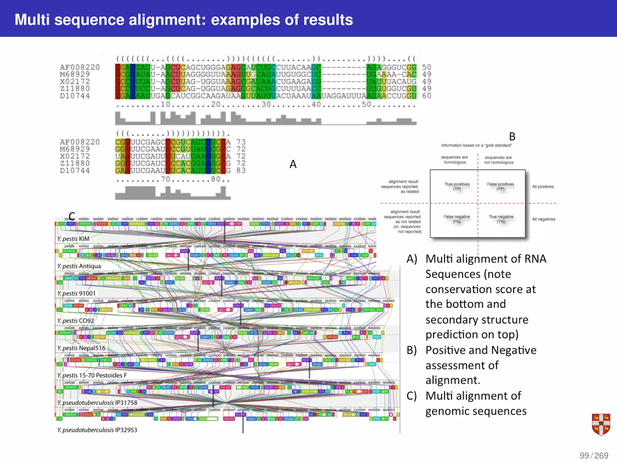 Multi sequence alignment: examples of results
99 / 269
 