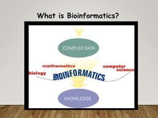 Bioinformatics | PPT