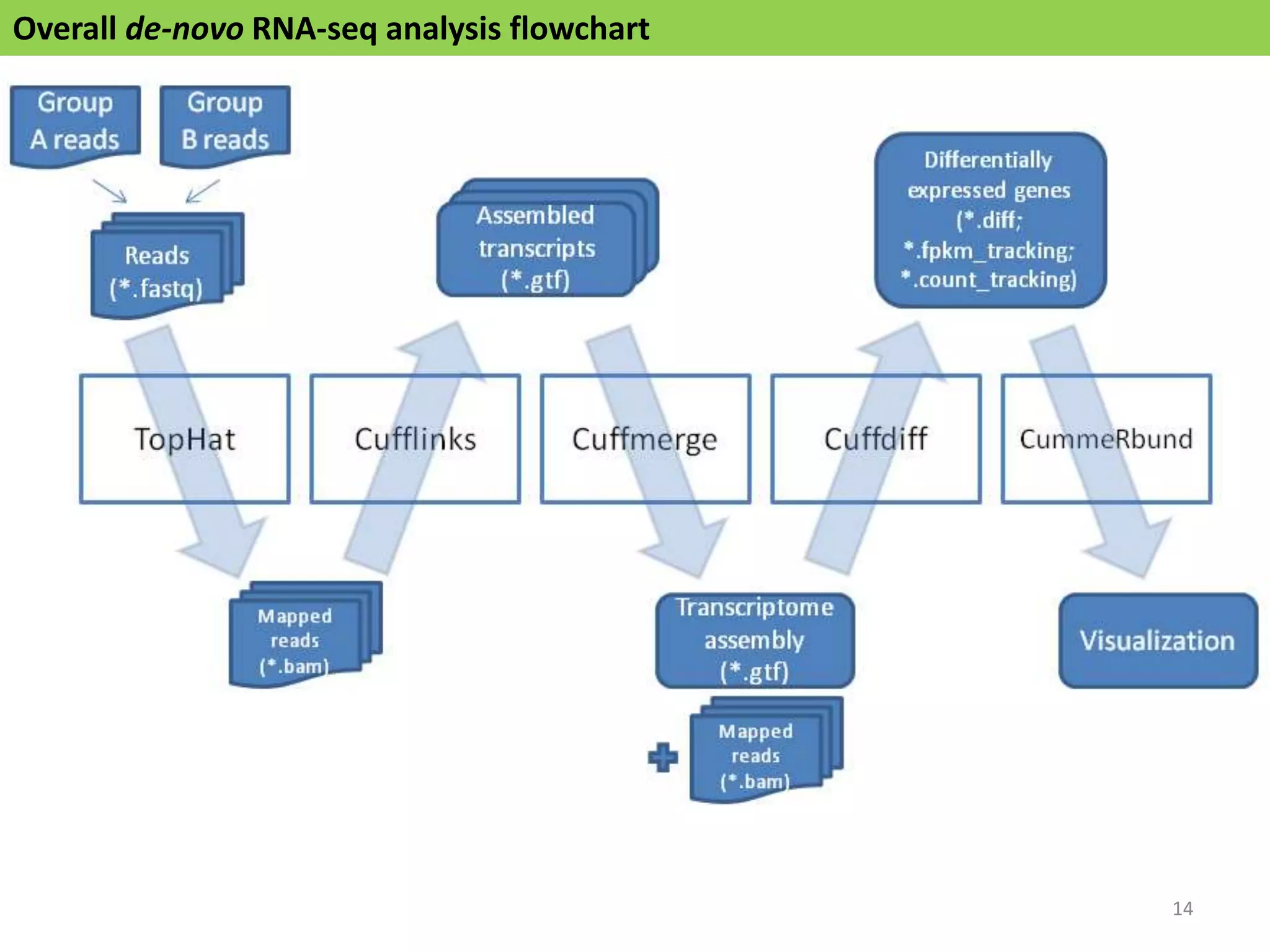 Overall de-novo RNA-seq analysis flowchart
14
 