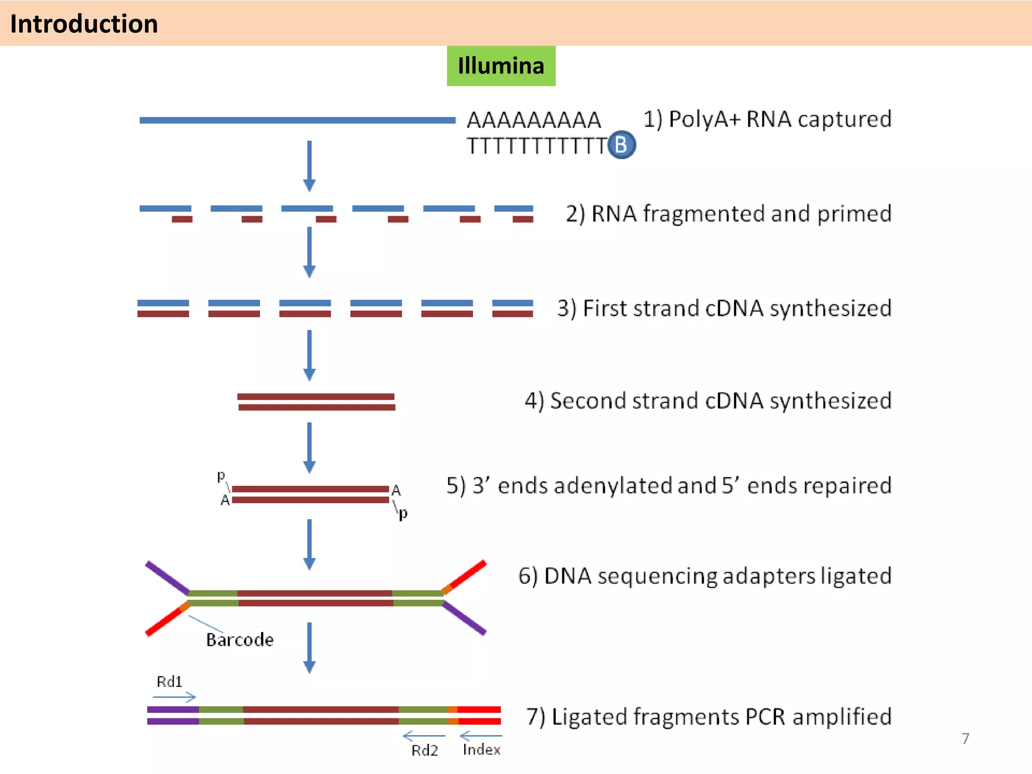 Illumina
Introduction
7
 