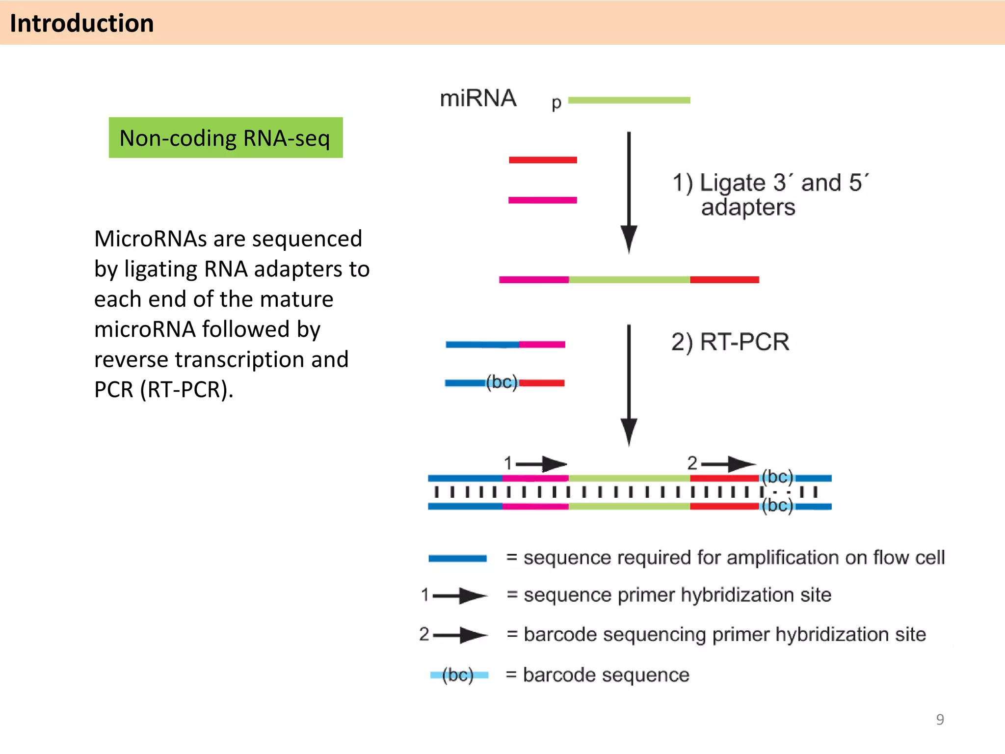 Non-coding RNA-seq
MicroRNAs are sequenced
by ligating RNA adapters to
each end of the mature
microRNA followed by
reverse transcription and
PCR (RT-PCR).
Introduction
9
 