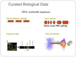 Curated Biological Data
DNA, nucleotide sequences
Gene boundaries, topology Gene structure
Introns, exons, ORFs, splicing
Expression data Mass spectometry
 