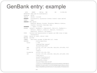 GenBank entry: example
LOCUS HSERPG 3398 bp DNA PRI 22-JUN-1993
DEFINITION Human gene for erythropoietin.
ACCESSION X02158
VERSION X02158.1 GI:31224
KEYWORDS erythropoietin; glycoprotein hormone; hormone; signal peptide.
SOURCE human.
ORGANISM Homo sapiens
Eukaryota; Metazoa; Chordata; Vertebrata; Mammalia; Eutheria;
Primates; Catarrhini; Hominidae; Homo.
REFERENCE 1 (bases 1 to 3398)
AUTHORS Jacobs,K., Shoemaker,C., Rudersdorf,R., Neill,S.D., Kaufman,R.J.,
Mufson,A., Seehra,J., Jones,S.S., Hewick,R., Fritsch,E.F.,
Kawakita,M., Shimizu,T. and Miyake,T.
TITLE Isolation and characterization of genomic and cDNA clones of human
erythropoietin
JOURNAL Nature 313 (6005), 806-810 (1985)
MEDLINE 85137899
COMMENT Data kindly reviewed (24-FEB-1986) by K. Jacobs.
FEATURES Location/Qualifiers
source 1..3398
/organism="Homo sapiens"
/db_xref="taxon:9606"
mRNA join(397..627,1194..1339,1596..1682,2294..2473,2608..3327)
exon 397..627
/number=1
sig_peptide join(615..627,1194..1261)
CDS join(615..627,1194..1339,1596..1682,2294..2473,2608..2763)
/codon_start=1
/product="erythropoietin"
/protein_id="CAA26095.1"
/db_xref="GI:312304"
/db_xref="SWISS-PROT:P01588"
/translation="MGVHECPAWLWLLLSLLSLPLGLPVLGAPPRLICDSRVLQRYLL
EAKEAENITTGCAEHCSLNENITVPDTKVNFYAWKRMEVGQQAVEVWQGLALLSEAVL
RGQALLVNSSQPWEPLQLHVDKAVSGLRSLTTLLRALGAQKEAISPPDAASAAPLRTI
…
 