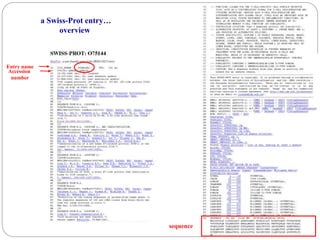 a Swiss-Prot entry…
overview
sequence
Accession
number
Entry name
 