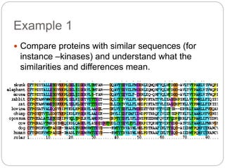 Example 1
 Compare proteins with similar sequences (for
instance –kinases) and understand what the
similarities and differences mean.
 