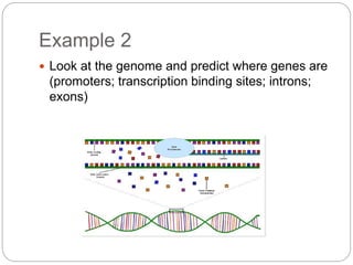 Example 2
 Look at the genome and predict where genes are
(promoters; transcription binding sites; introns;
exons)
 