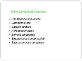 Other Completed Genomes
 Haemophilus influenzae
 Escherichia coli
 Bacillus subtilus
 Helicobacter pylori
 Borrelia burgdorferi
 Streptococcus pneumoniae
 Saccharomyces cerevisiae
 