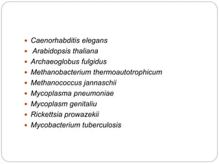 Caenorhabditis elegans
 Arabidopsis thaliana
 Archaeoglobus fulgidus
 Methanobacterium thermoautotrophicum
 Methanococcus jannaschii
 Mycoplasma pneumoniae
 Mycoplasm genitaliu
 Rickettsia prowazekii
 Mycobacterium tuberculosis
 
