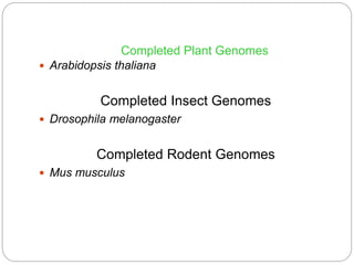 Completed Plant Genomes
 Arabidopsis thaliana
Completed Insect Genomes
 Drosophila melanogaster
Completed Rodent Genomes
 Mus musculus
 