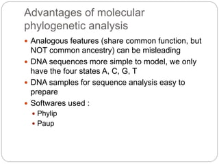Advantages of molecular
phylogenetic analysis
 Analogous features (share common function, but
NOT common ancestry) can be misleading
 DNA sequences more simple to model, we only
have the four states A, C, G, T
 DNA samples for sequence analysis easy to
prepare
 Softwares used :
 Phylip
 Paup
 