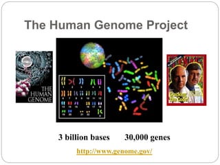 The Human Genome Project
3 billion bases 30,000 genes
http://www.genome.gov/
 