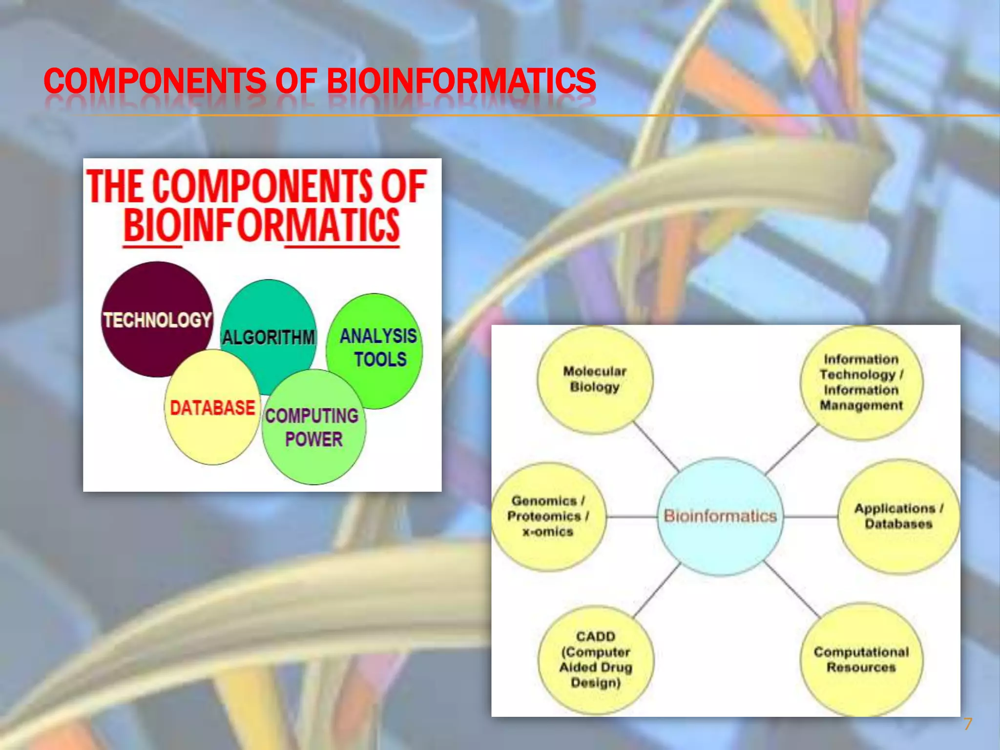 bioinformatics5