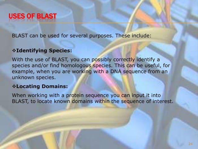 Bioinformatics Final Presentation | PPTX