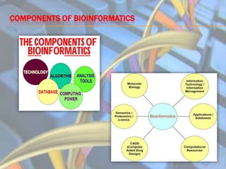 Bioinformatics Final Presentation | PPTX
