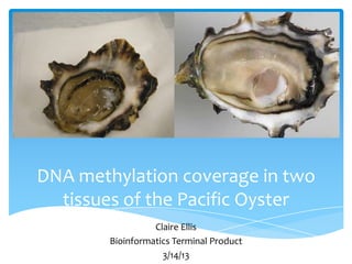 DNA methylation coverage in two
  tissues of the Pacific Oyster
                  Claire Ellis
        Bioinformatics Terminal Product
                    3/14/13
 
